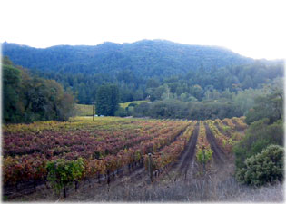 Sonoma valley