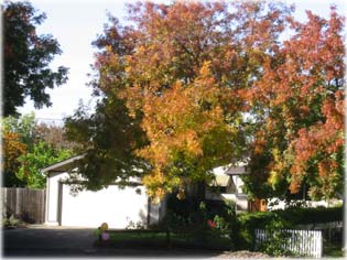 a h&aacute;zunk novemberben