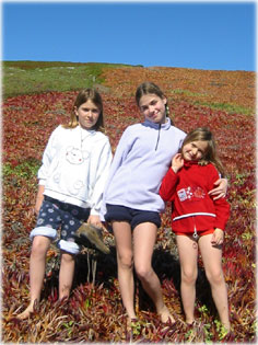 �r�m volt a sz�nes k�v�r leveleken futk�rozni.