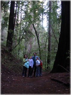 S�r�, s�t�t erd� k�zep�n