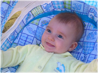 R�zi tavaszi k�kben