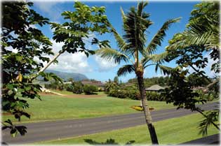 Kil�t�s a teraszr�l 1