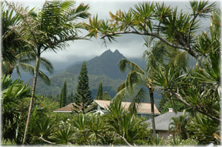 Kil�t�s a teraszr�l 2