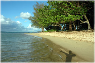 T�megjelenet Kauai-ban