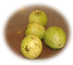 Guava egszben