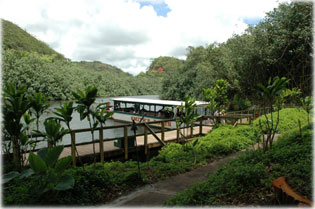 Wailua River Cruise