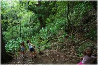 Hegym�sz�s papucsban es�ben