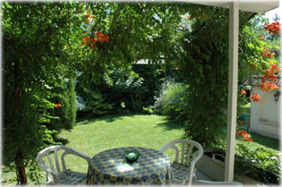 Our little garden in Szeged