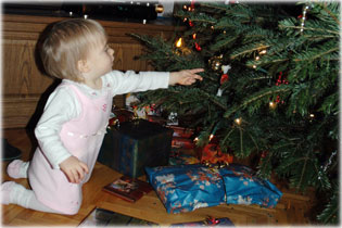 Rezi and the Christmas tree