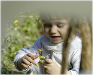 Szeret, nem szeret ...