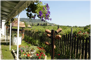 Soml�hegy a h�tt�rben