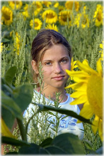 Wa a napraforg�k k�z�tt