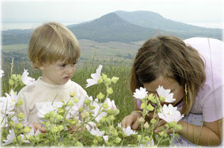 Ci �s Te vir�gillatban