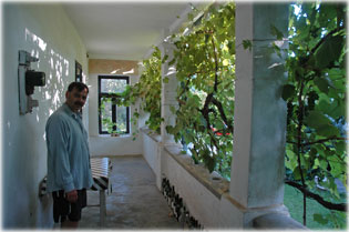 Imre, bar�taik torn�c�n