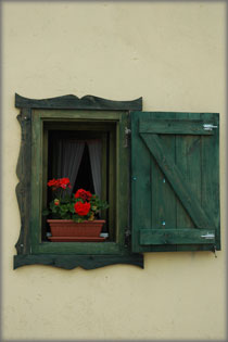 Musk�tli az ablakban