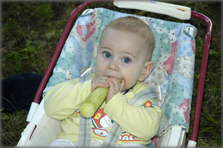 Zoz� a k�rtefa alatt