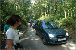 Aut�forgalom a hegyen