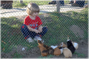 Nagy�t�shoz klikkelj a k�pre!