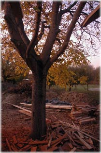 Nagy�t�shoz klikkelj a k�pre!