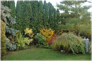 Nagy�t�shoz klikkelj a k�pre!