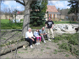 Fav�g�s a telken