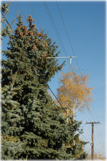 Nagy�t�shoz kattints