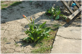 Nagy�t�shoz klikkelj a k�pre!