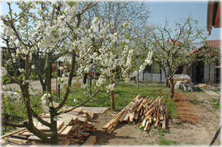 Nagy�t�shoz klikkelj a k�pre!