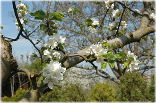 Nagy�t�shoz klikkelj a k�pre!