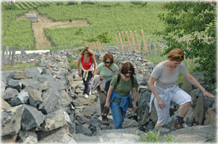 Nagy�t�shoz klikkelj a k�pre!