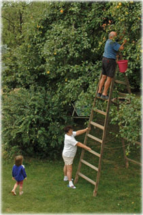 Nagy�t�shoz klikkelj a k�pre!